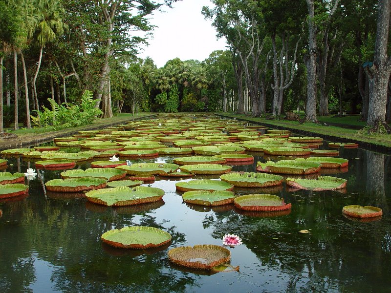 Mauritius 2006 (123).JPG